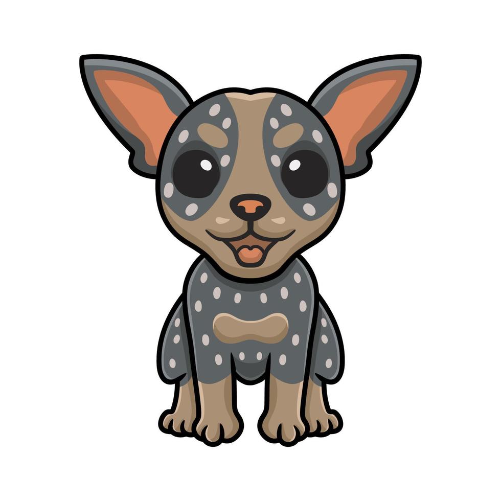 Cute australian cattle dog cartoon vector