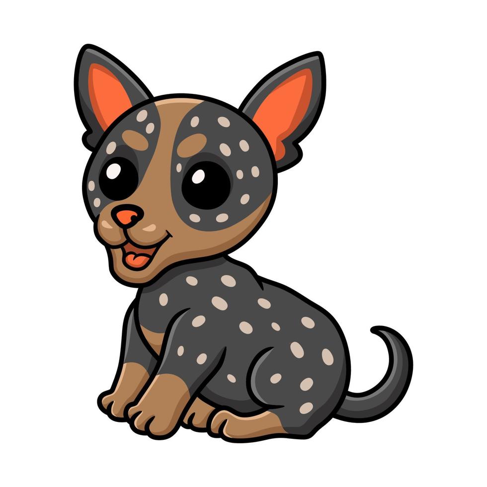 Cute australian cattle dog cartoon vector