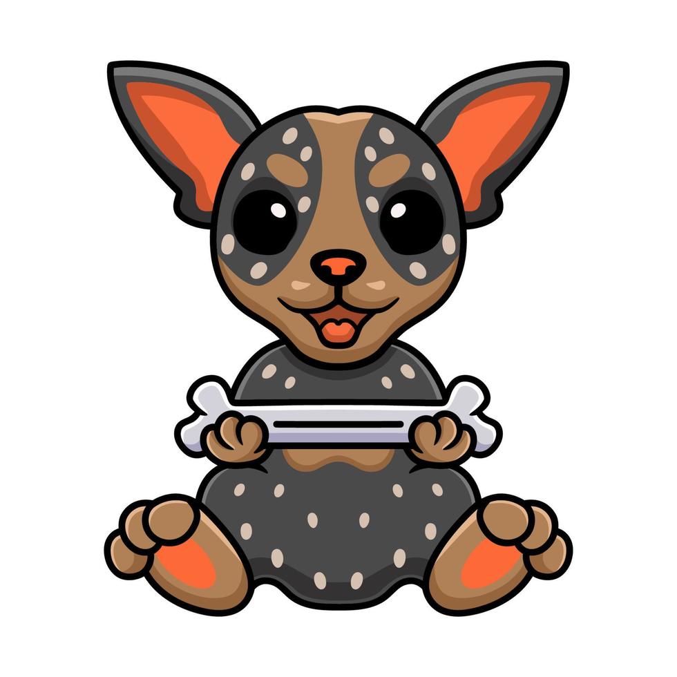 Cute australian cattle dog cartoon holding a bone vector