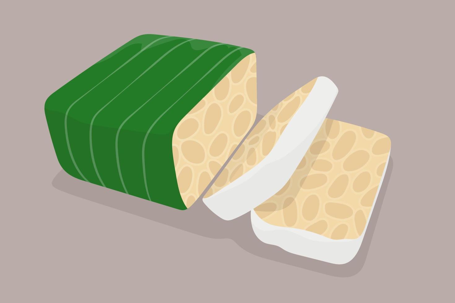 ilustración de tempeh de soja en diseño vectorial vector