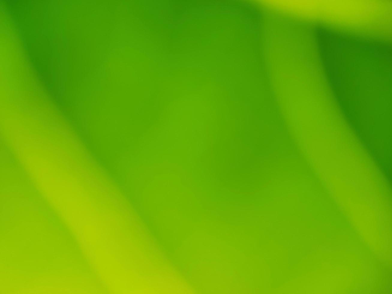 Color Gradient Green - Background photo