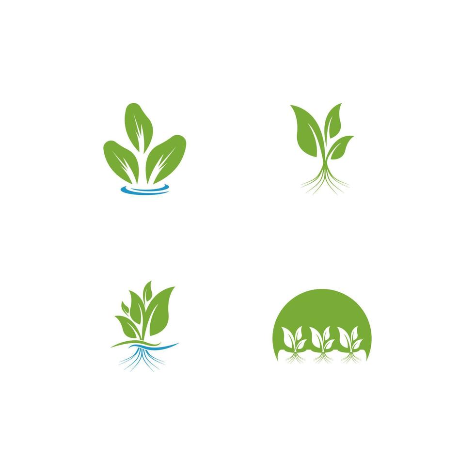 Hydroponic Logo Vector Template Illustration