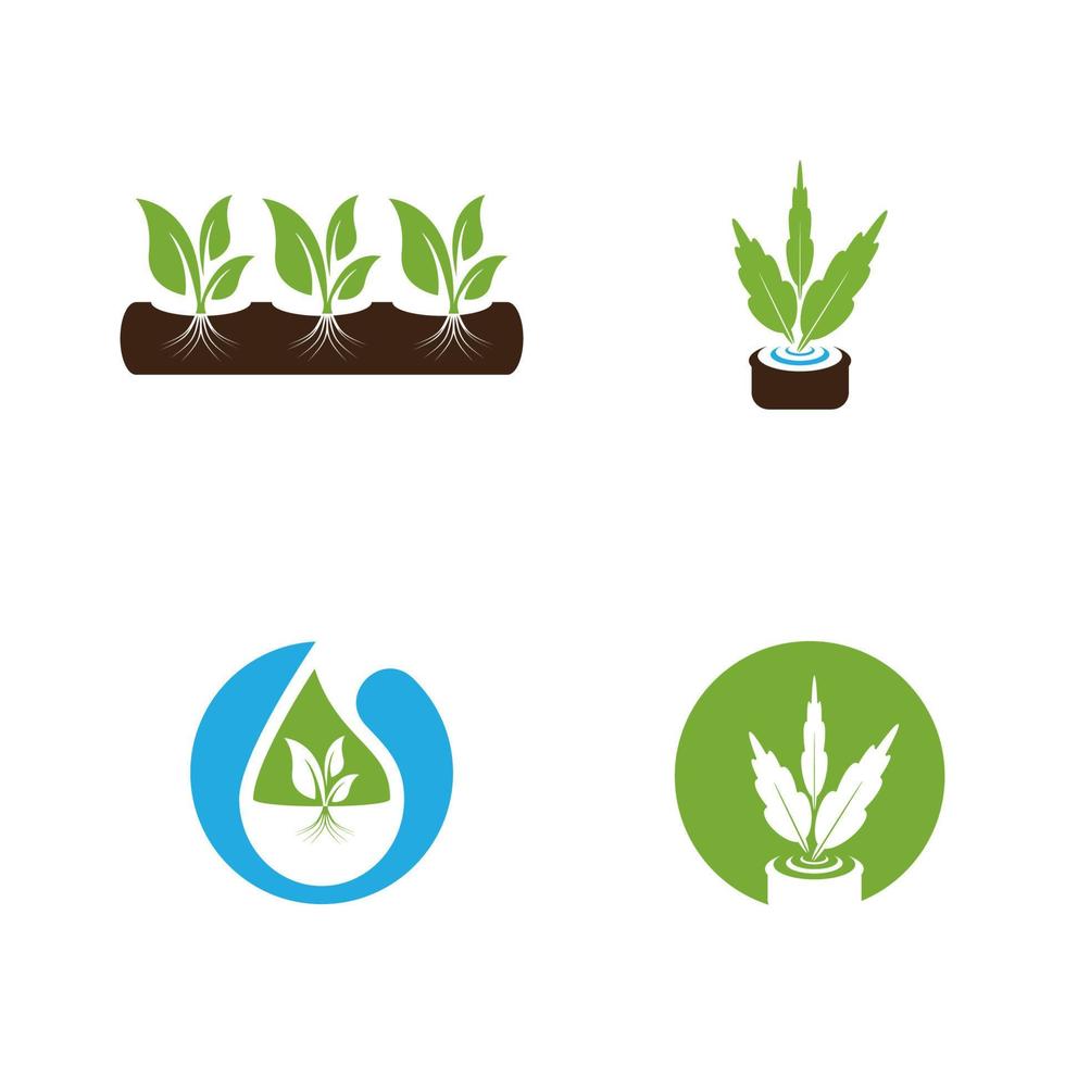 Hydroponic Logo Vector Template Illustration