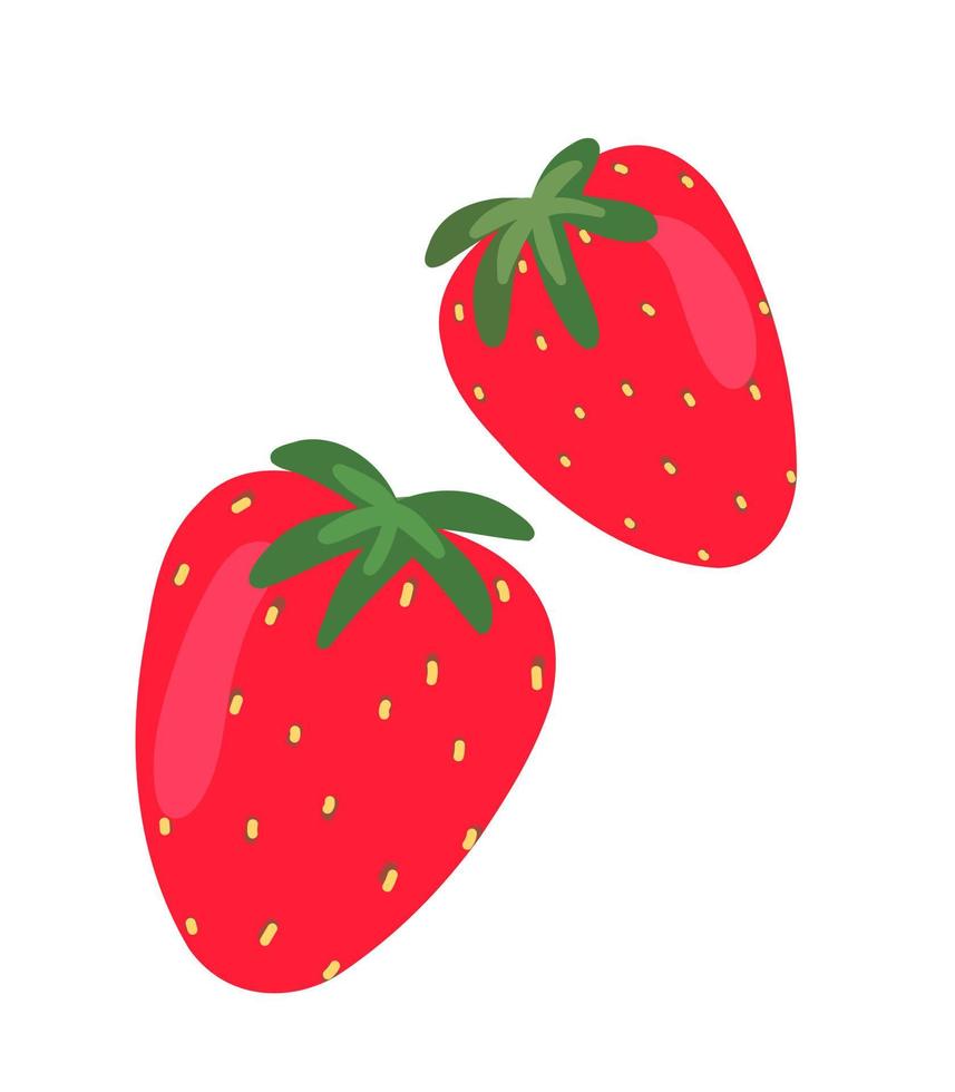 Strawberry illustration. Berry strawberry for print, design of your products, packaging. Isolated on white background vector illustration