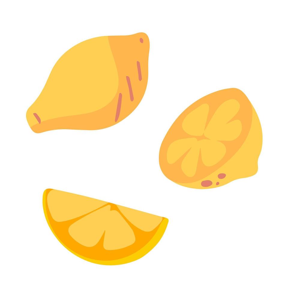 conjunto de elementos de diseño de iconos de fruta de limón dibujados a mano modernos abstractos vector