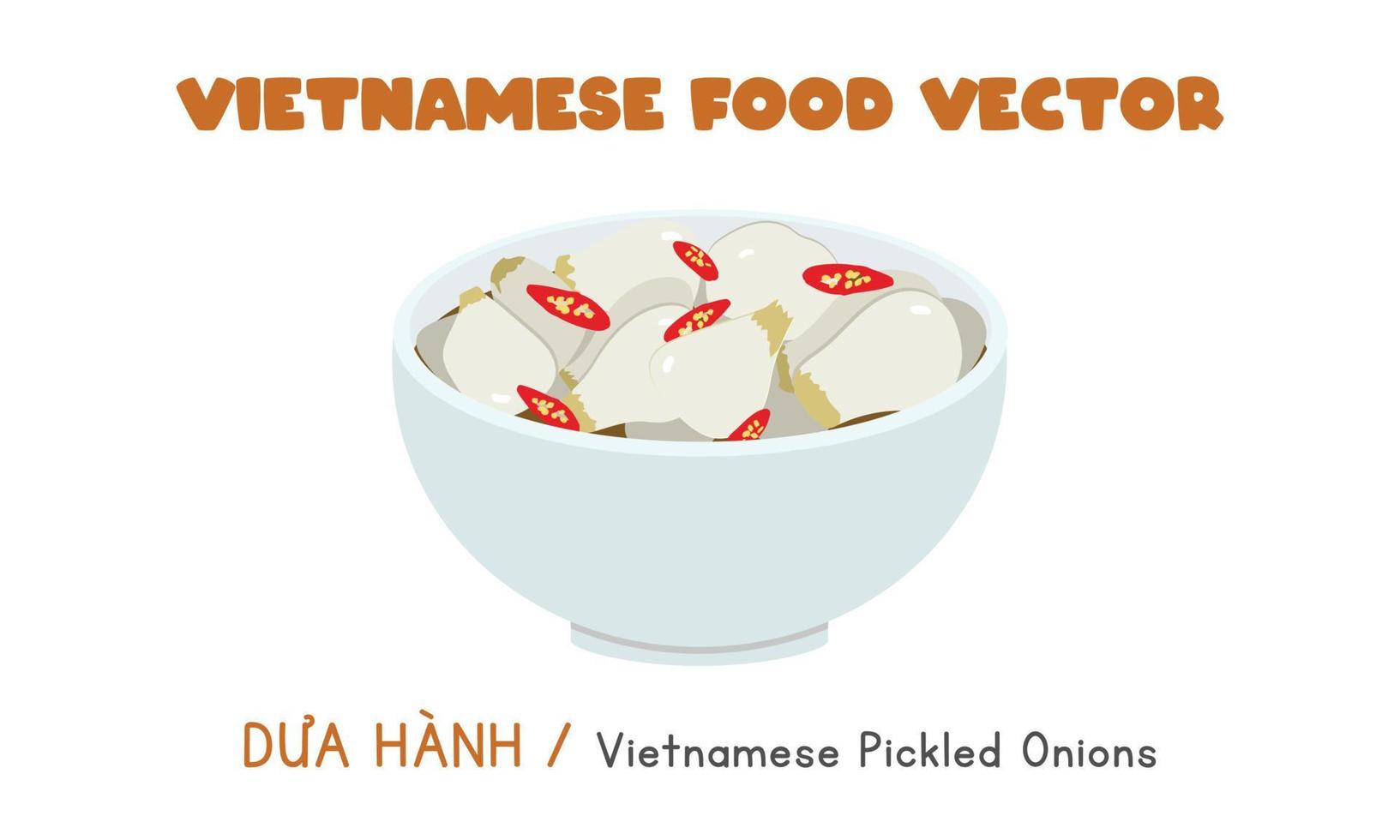 cebollas en escabeche vietnamitas con chile y diseño vectorial plano de sal. dua hanh clipart estilo de dibujos animados. comida asiática. cocina vietnamita. comida tradicional del año nuevo lunar de vietnam vector