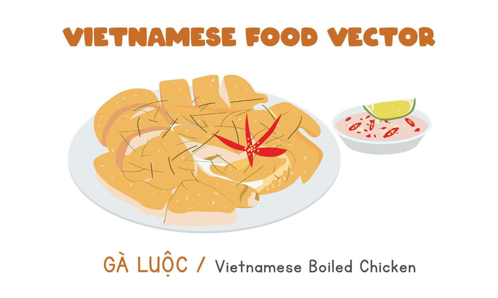 Vietnamese boiled chicken flat vector design. Ga Luoc clipart cartoon style. Asian food. Vietnamese cuisine. Vietnam Lunar New Year traditional food