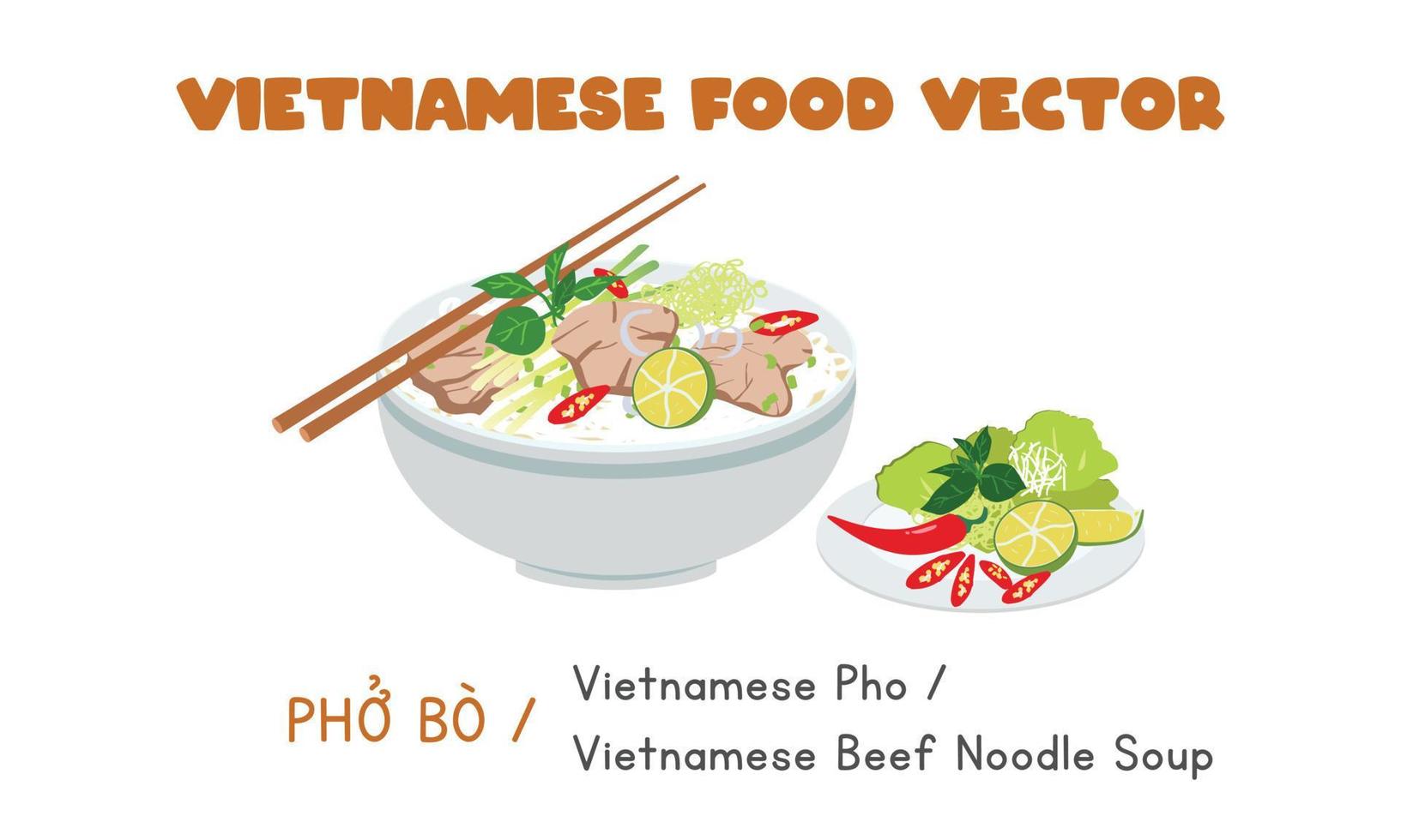 vector plano vietnamita pho bo. dibujos animados de imágenes prediseñadas de sopa de fideos con carne de res vietnamita. comida asiática. cocina vietnamita