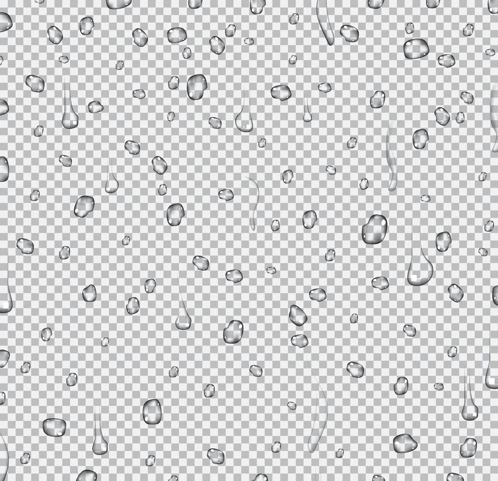 Realistic Water Drops on Transparent Background. vector