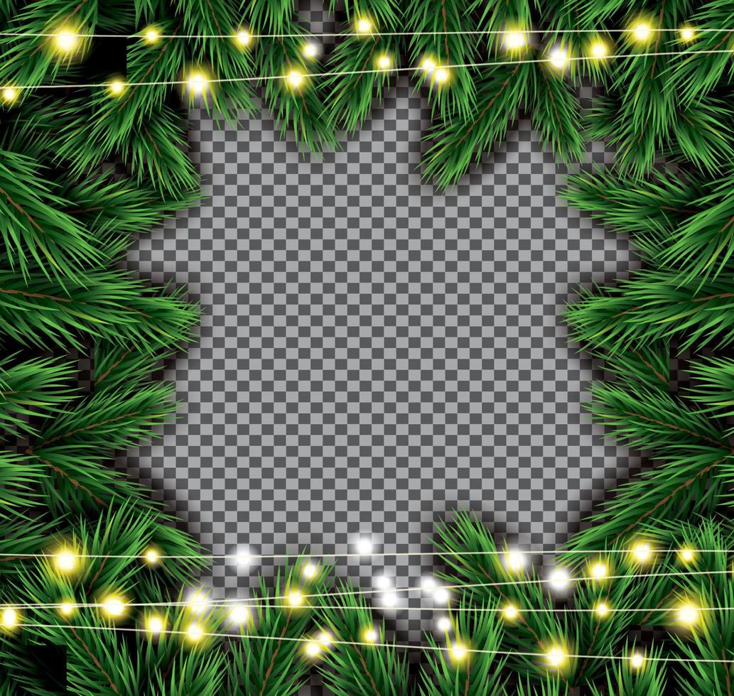 Fir Branch with Neon Lights on Transparent Background. vector