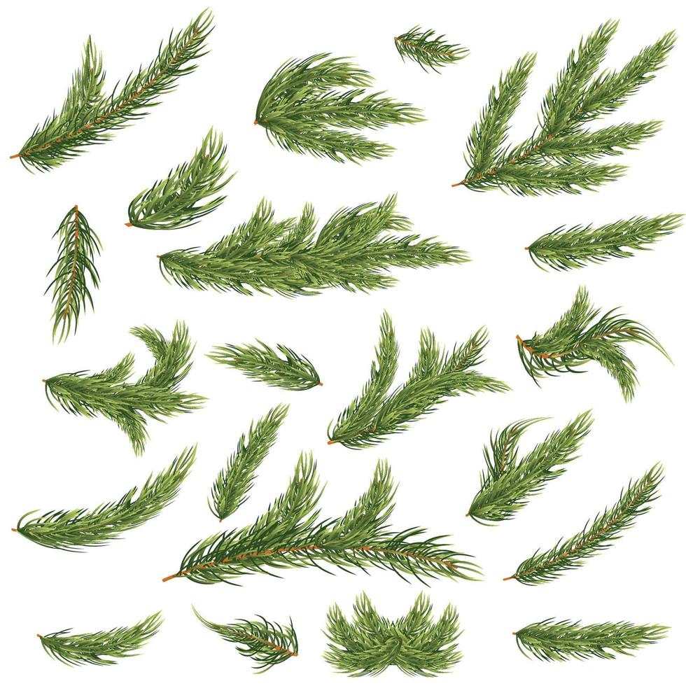 Set of Fir Branches. Christmas Tree. vector