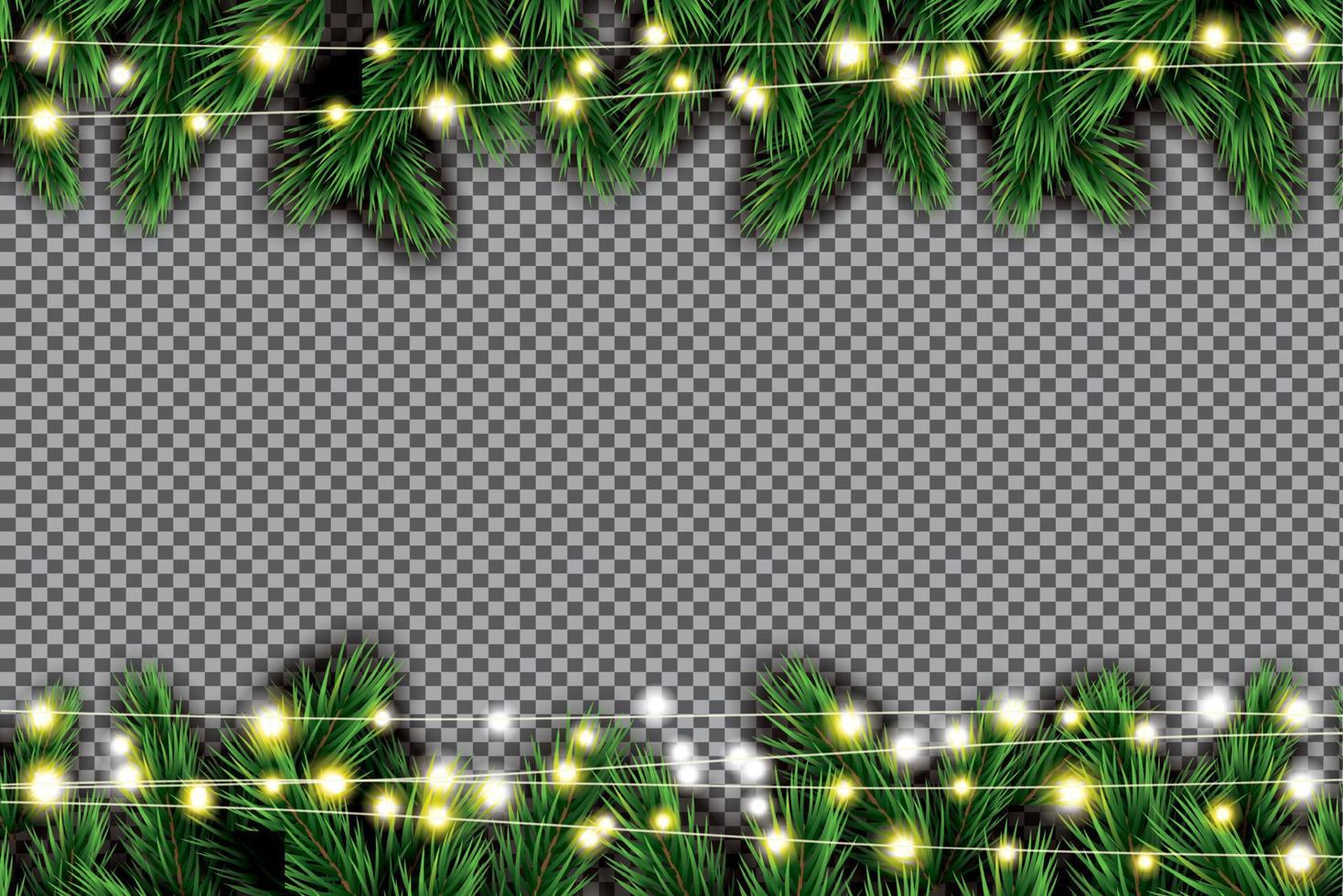 Fir Branch with Neon Lights on Transparent Background. vector