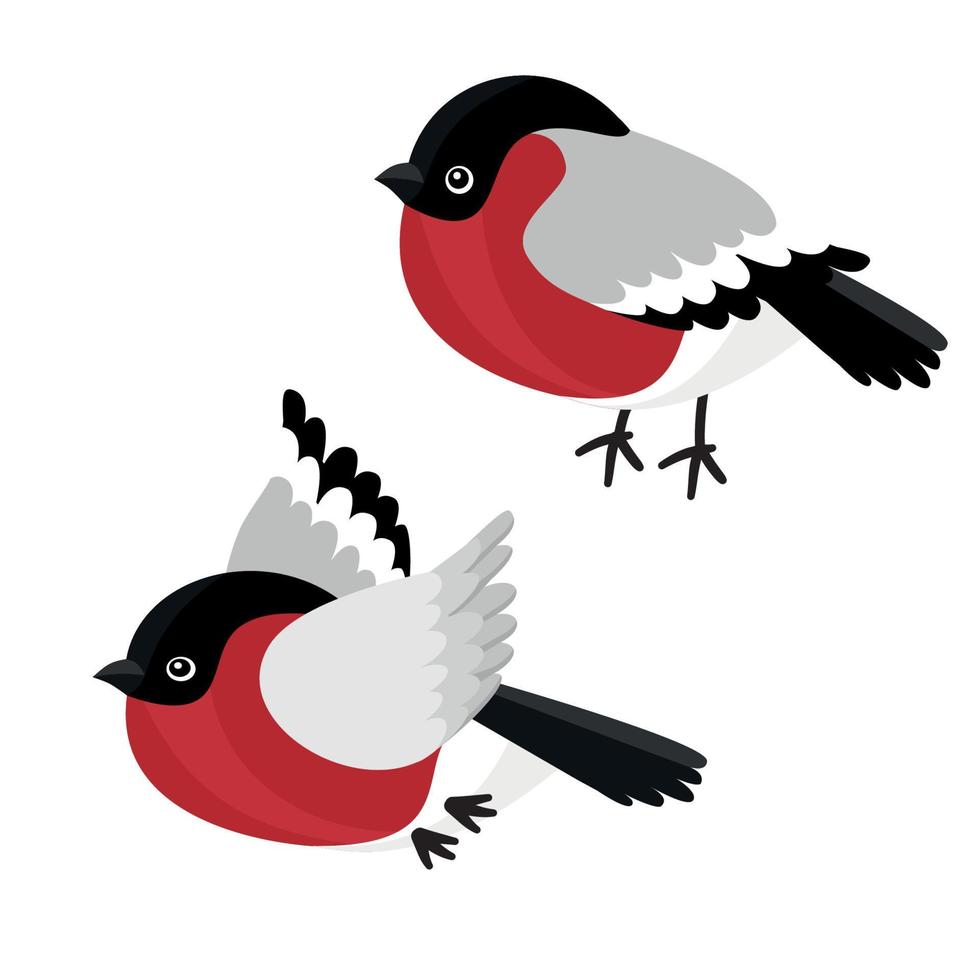 un conjunto de sentarse y volar el bullfinch aislado sobre fondo blanco. muestra de afiche, invitación de fiesta, pancarta festiva, tarjeta. ilustración de primer plano de dibujos animados vectoriales. vector