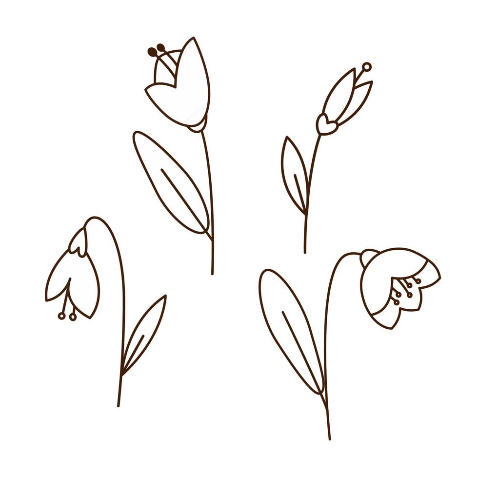 colección de dibujos de flores de campanilla blanca. ilustración de contorno de fideos monocromáticos. diseño de flores de primavera de dibujos animados simples o conjunto de elementos de página para colorear. vector