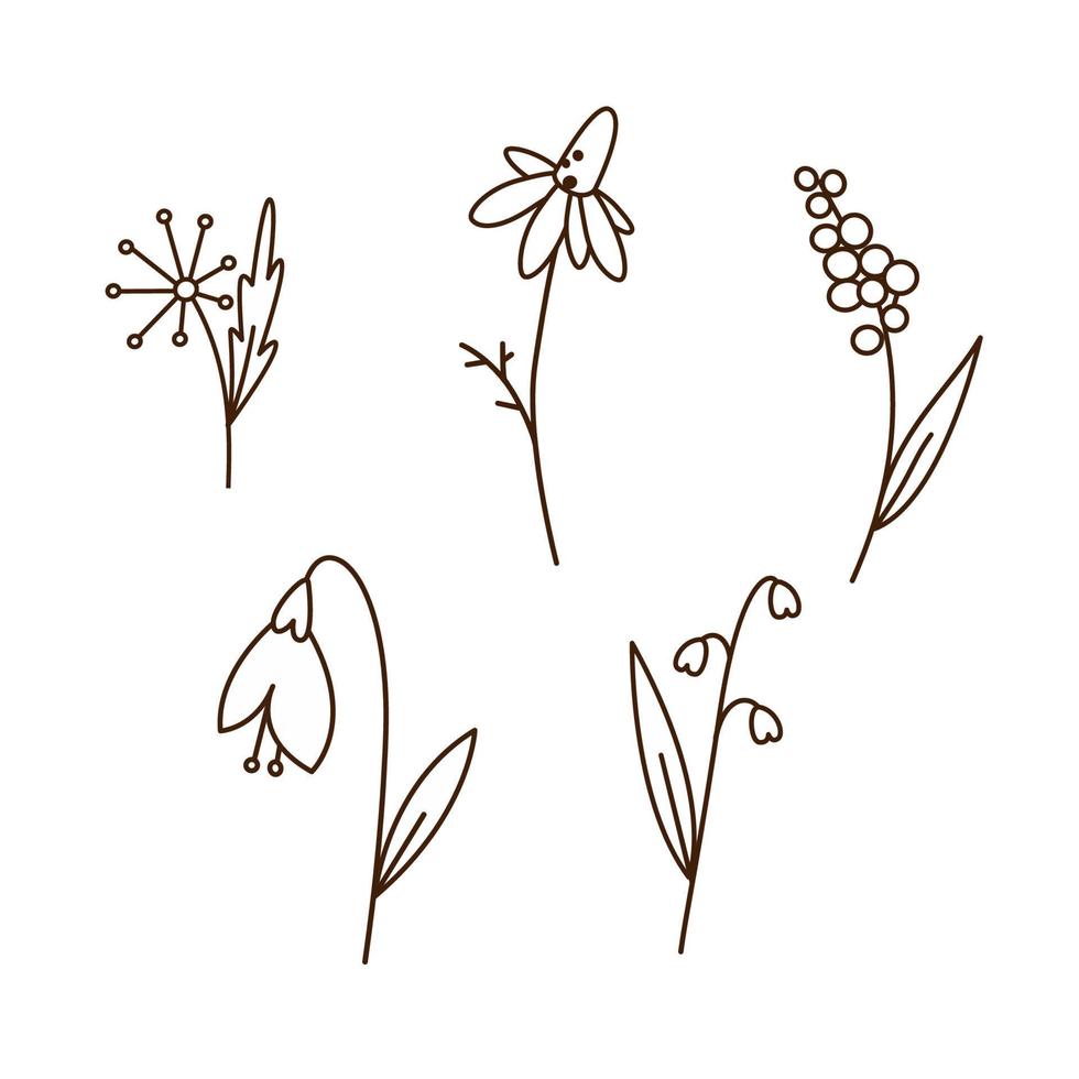 Set of flower silhouette vector illustrations. Snowdrop, daffodil