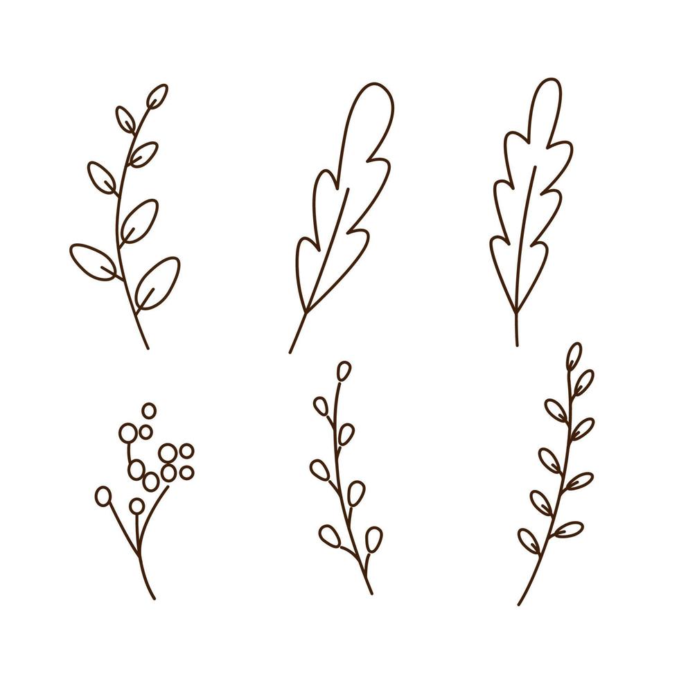 Doodle leaves and branches elements set. Simple cartoon outline drawings. vector