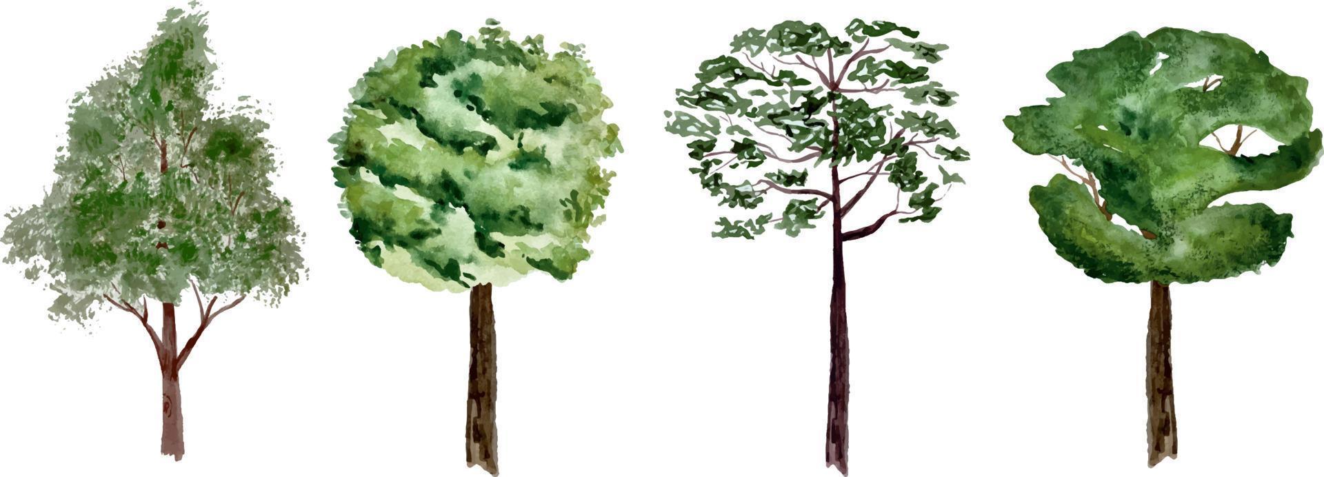 Watercolor set of green forest trees isolated on white vector
