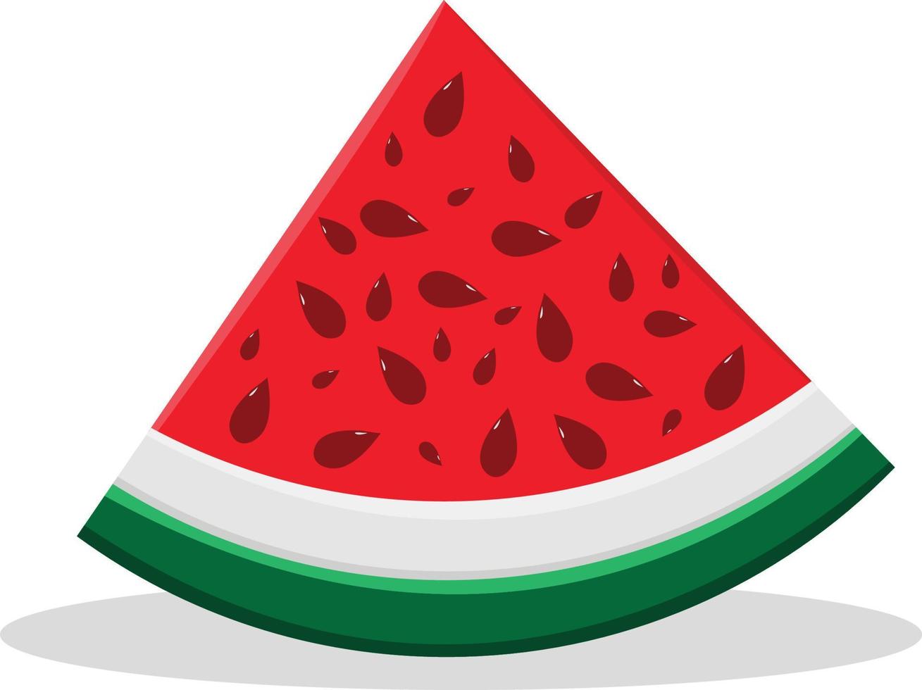 Watermelon Illustration Vector