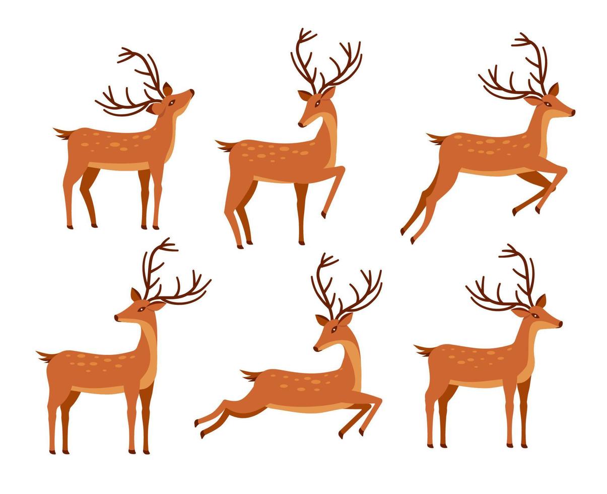 Deers in different poses icon set. Cartoon animal design. Vector illustration isolated on white background.