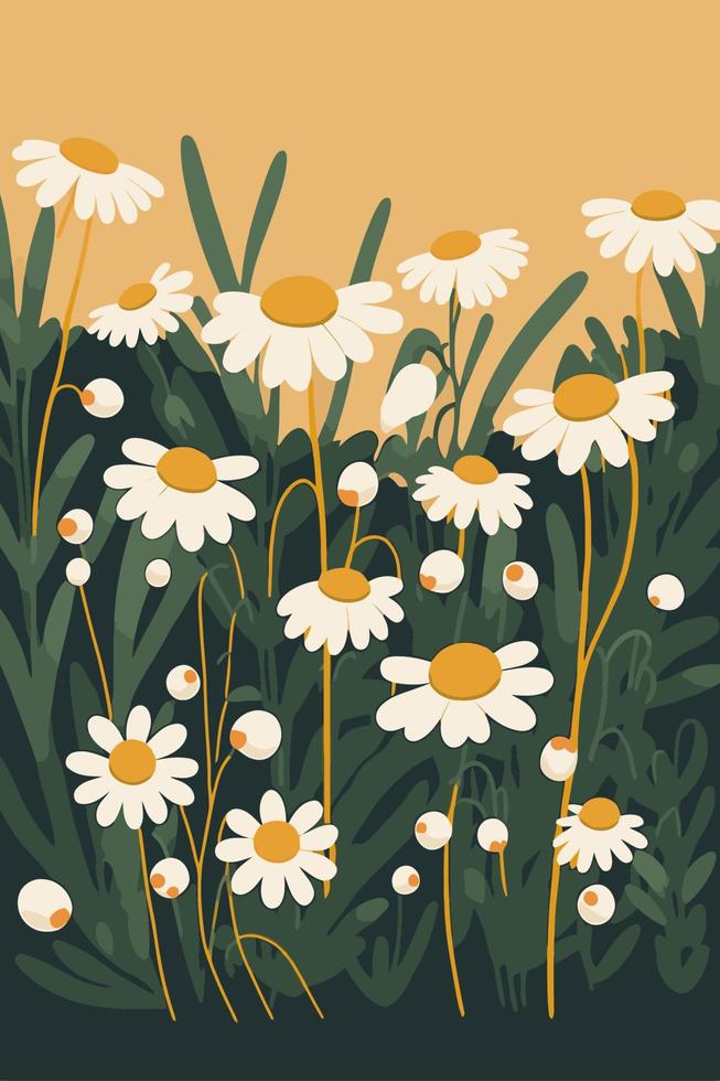 white chamomile flowers nature background illustration vector