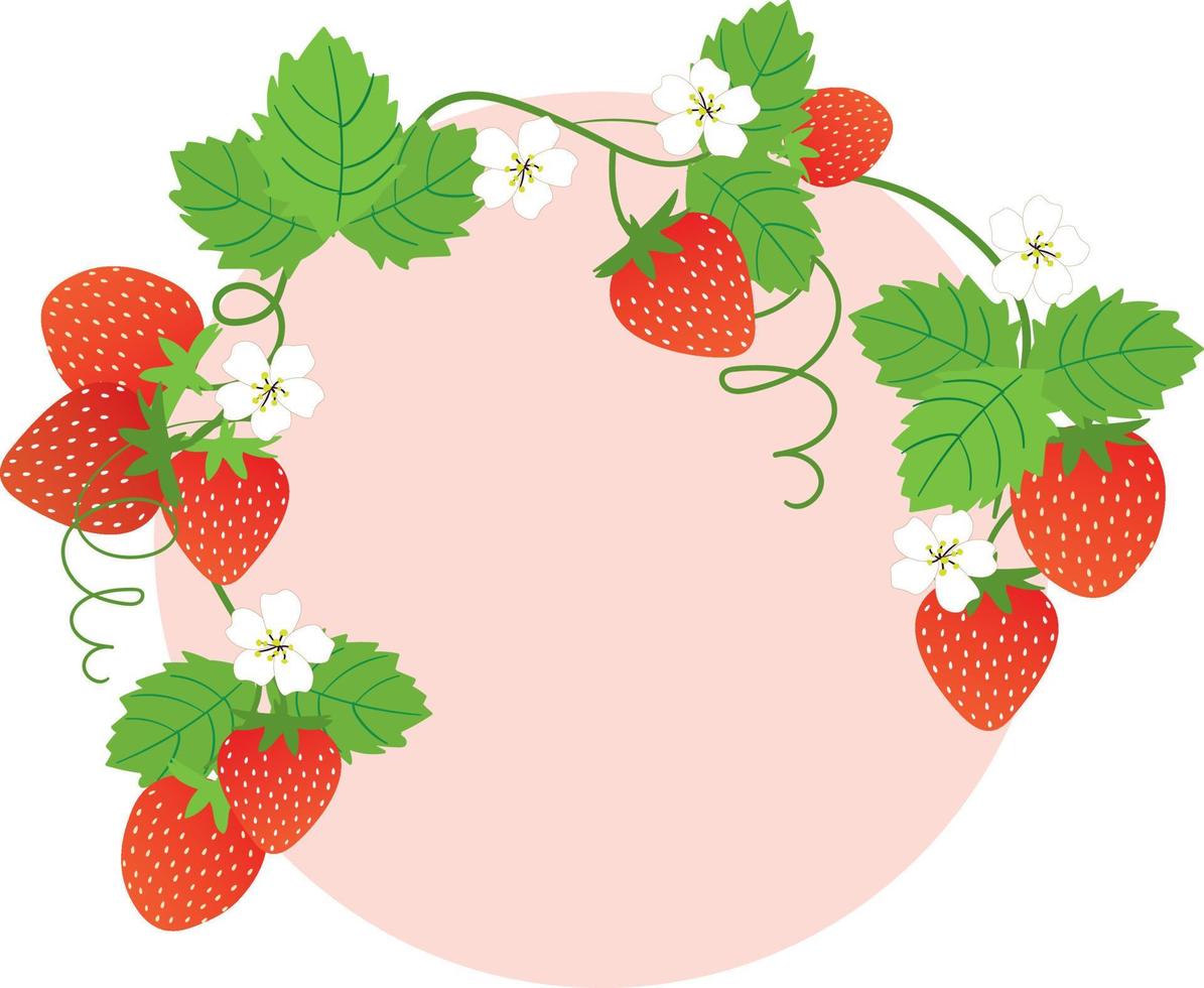 Set of Stawberry summer fruit vector
