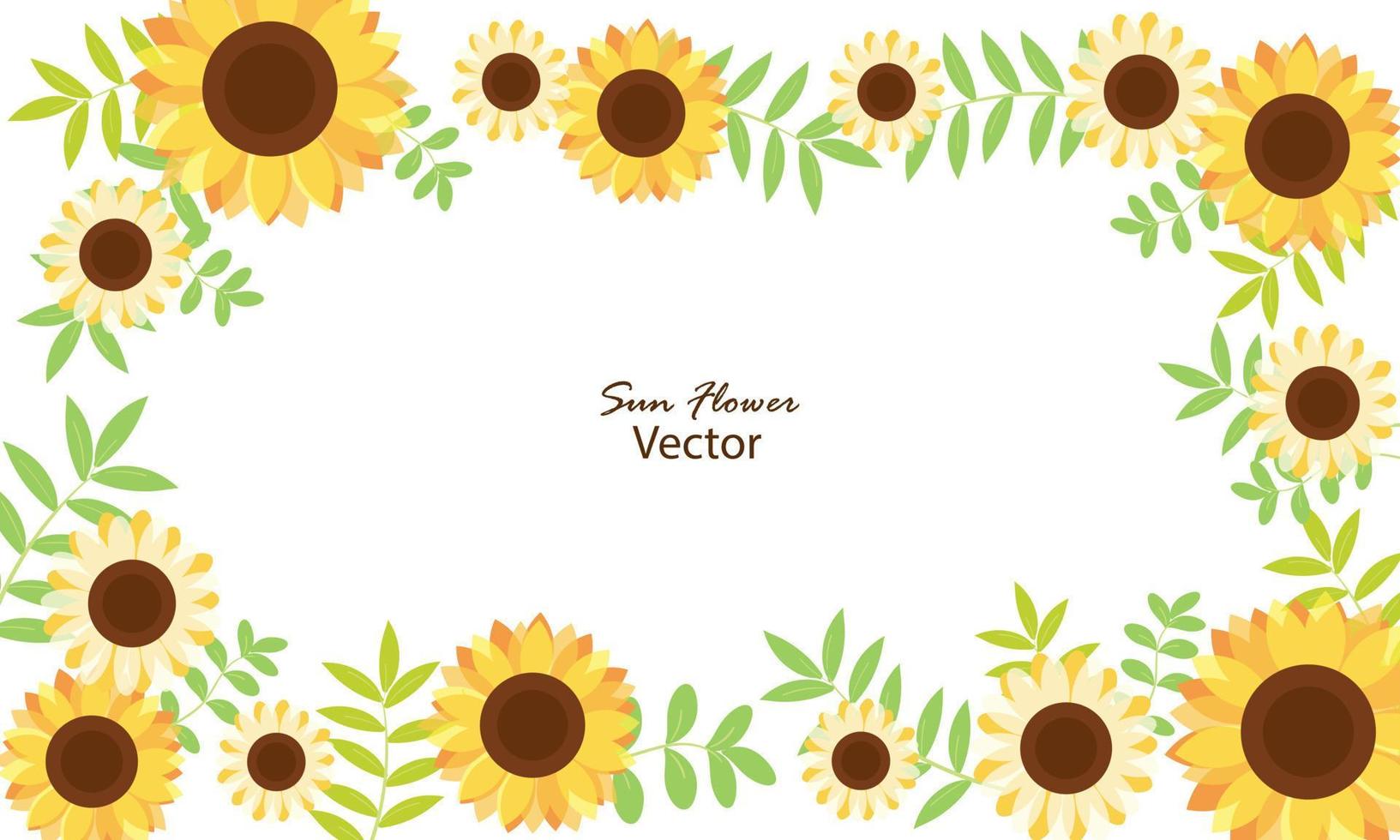 Frame of the sunflower vector