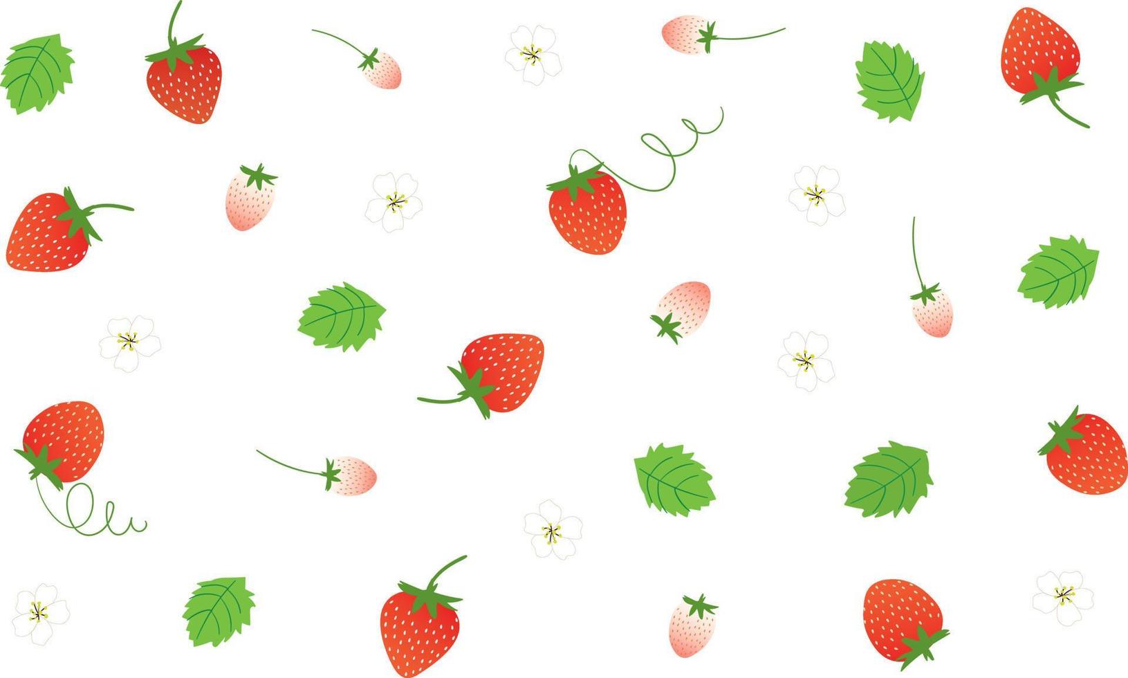 Set of Stawberry summer fruit vector