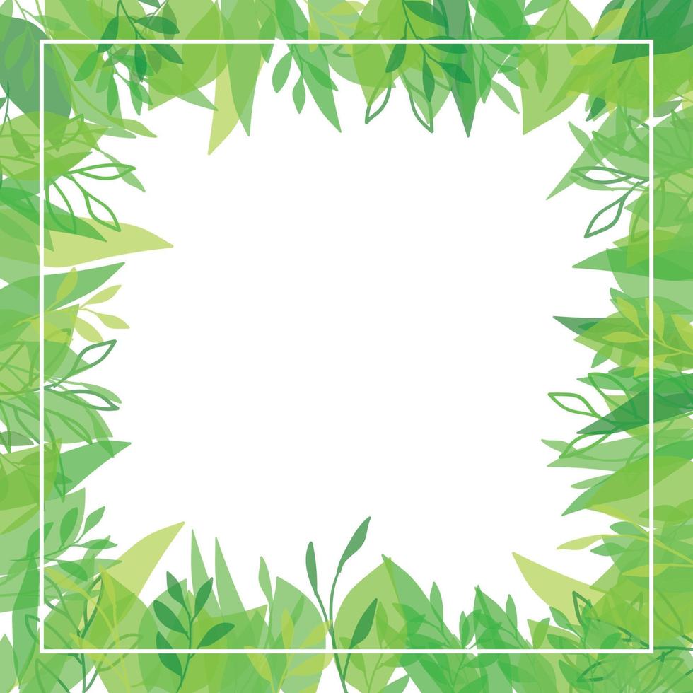 Watercolor Green Branch Frame With White Circle vector