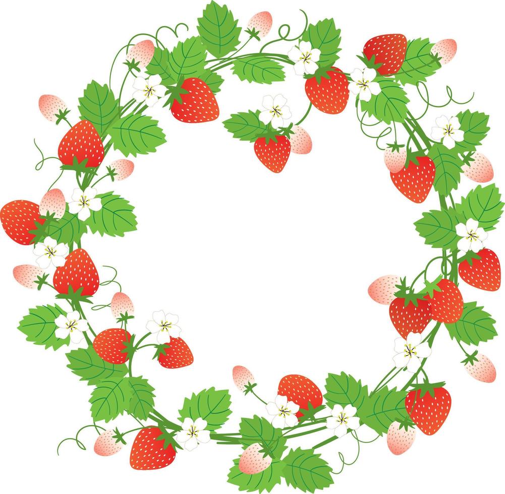 conjunto de frutas de verano stawberry vector