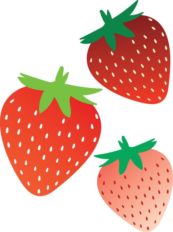 conjunto de frutas de verano stawberry vector