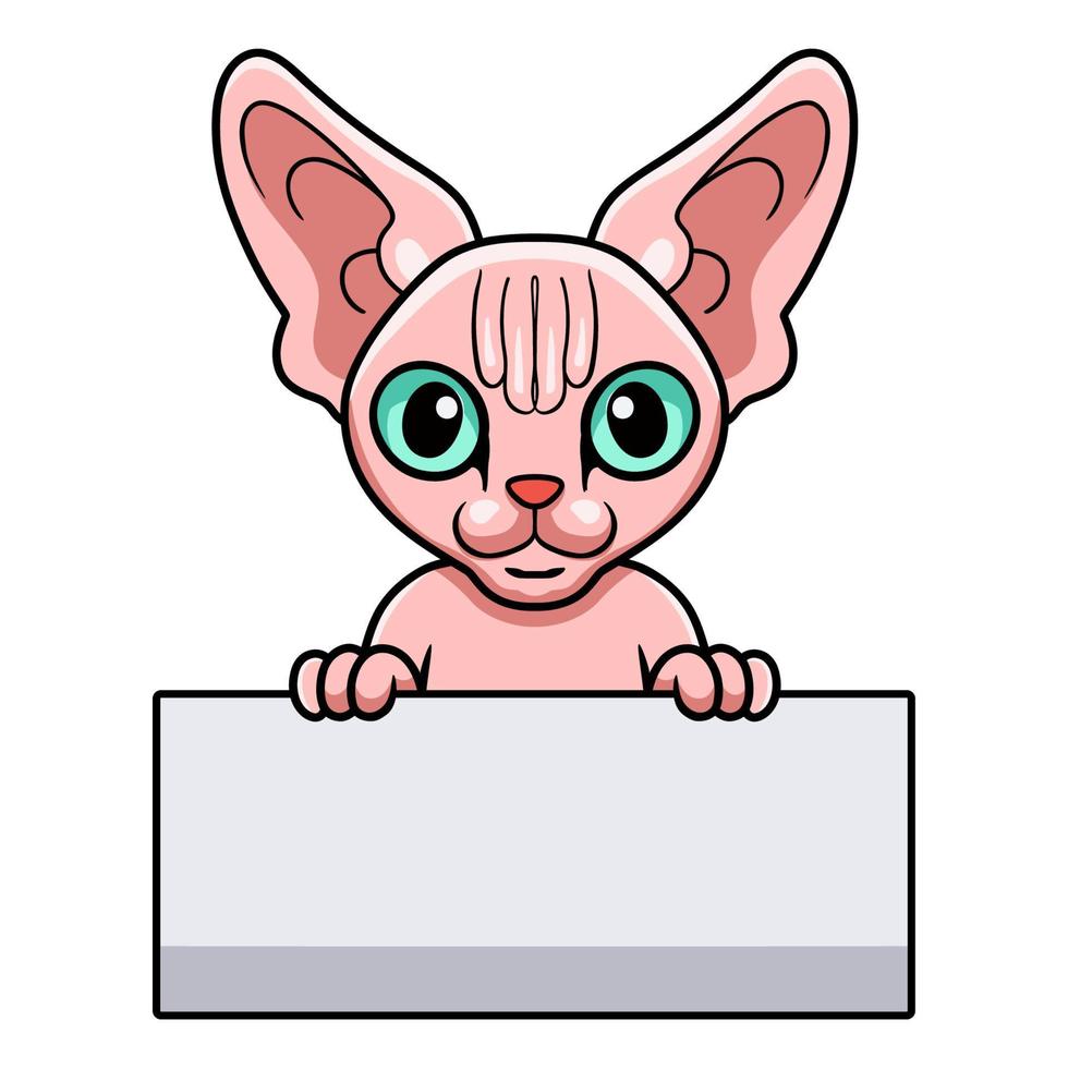 dibujos animados lindo gato sphynx con cartel en blanco vector