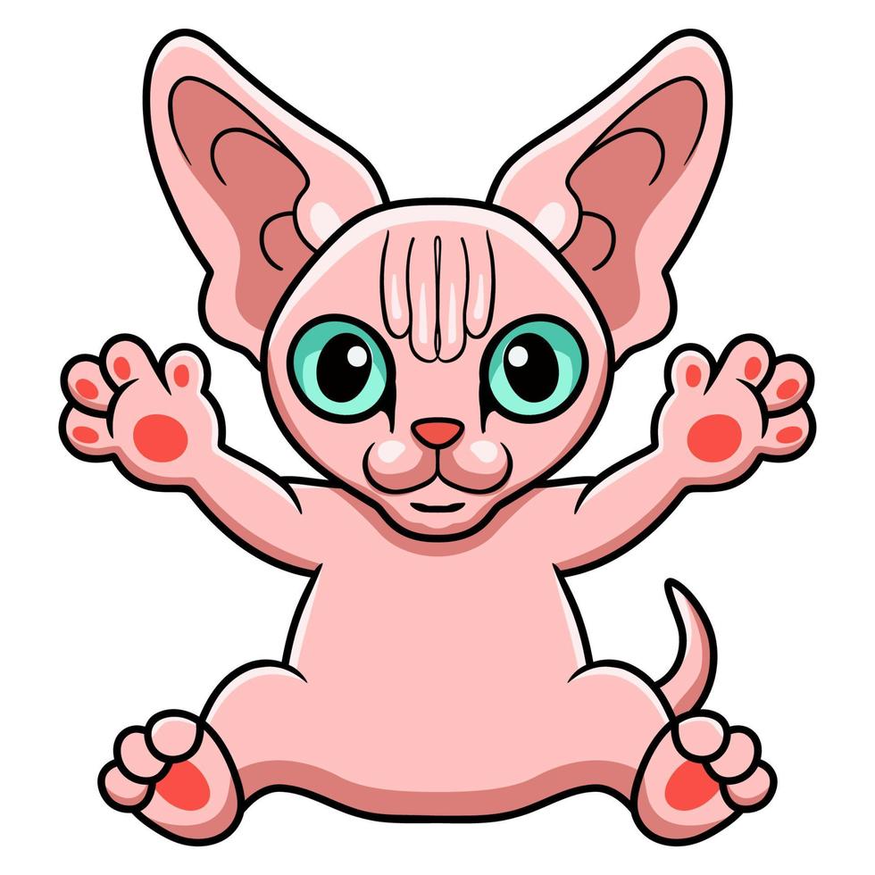 Cute sphynx cat cartoon sitting vector