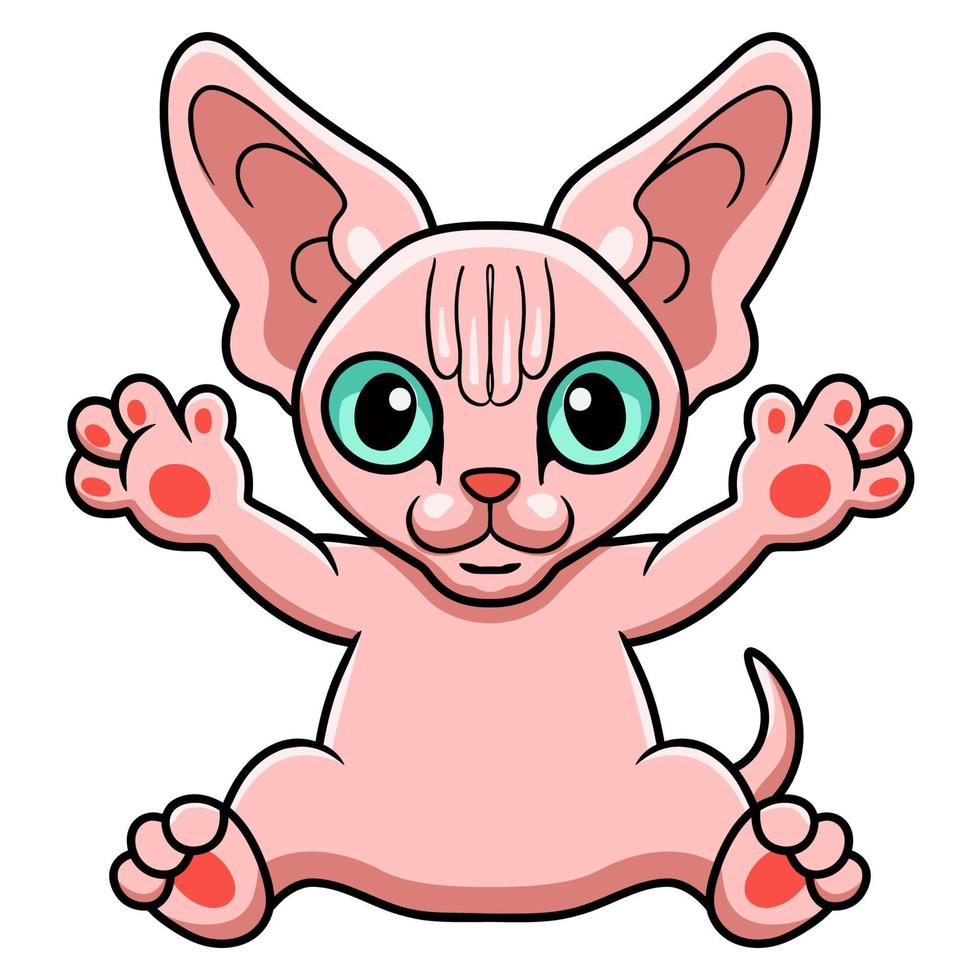 lindo gato sphynx dibujos animados sentado vector