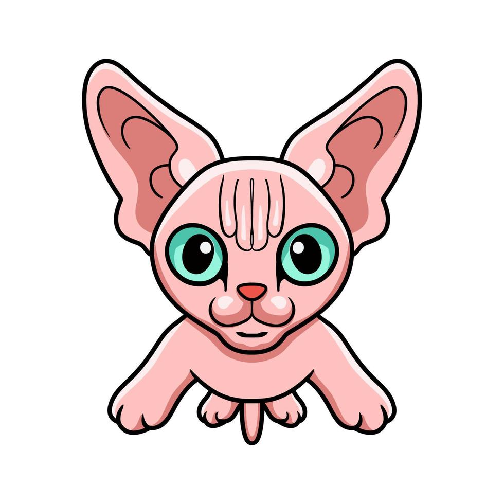 Cute sphynx cat cartoon posing vector