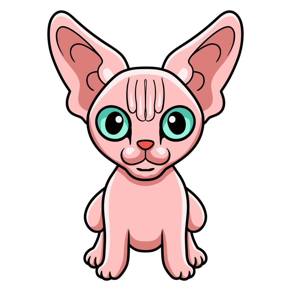Cute sphynx cat cartoon sitting vector