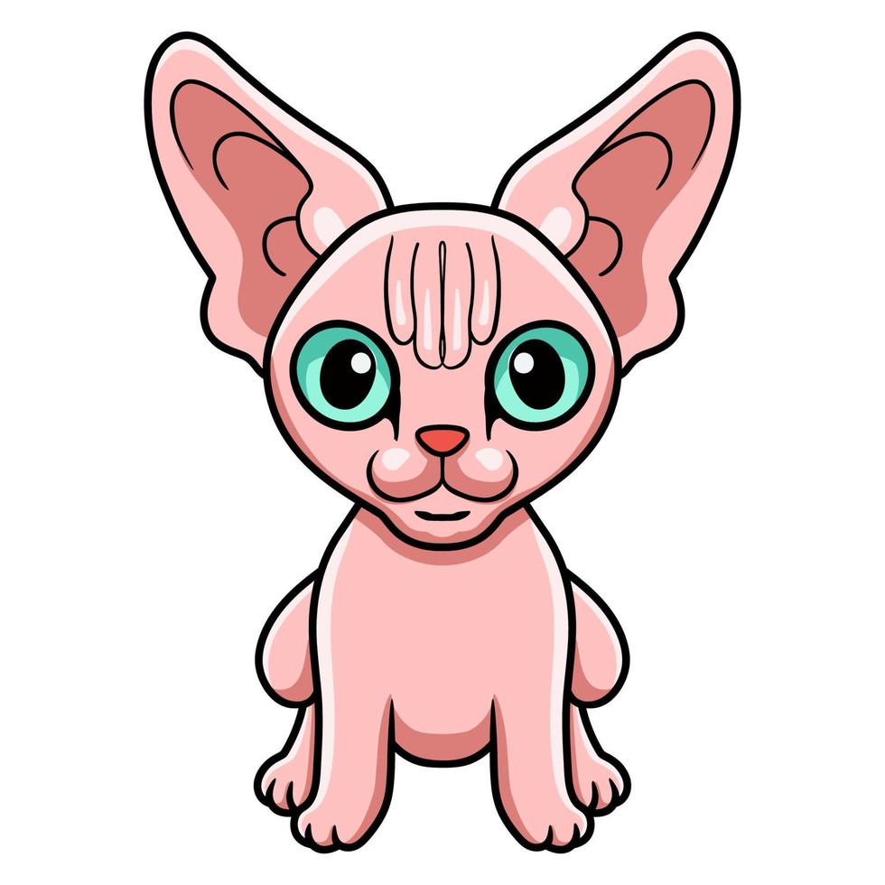 Cute sphynx cat cartoon sitting vector