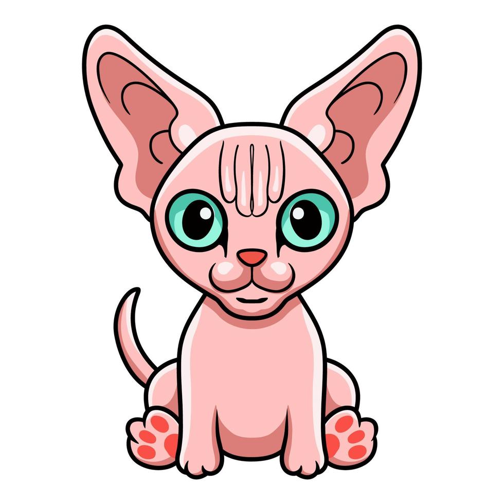 lindo gato sphynx dibujos animados sentado vector