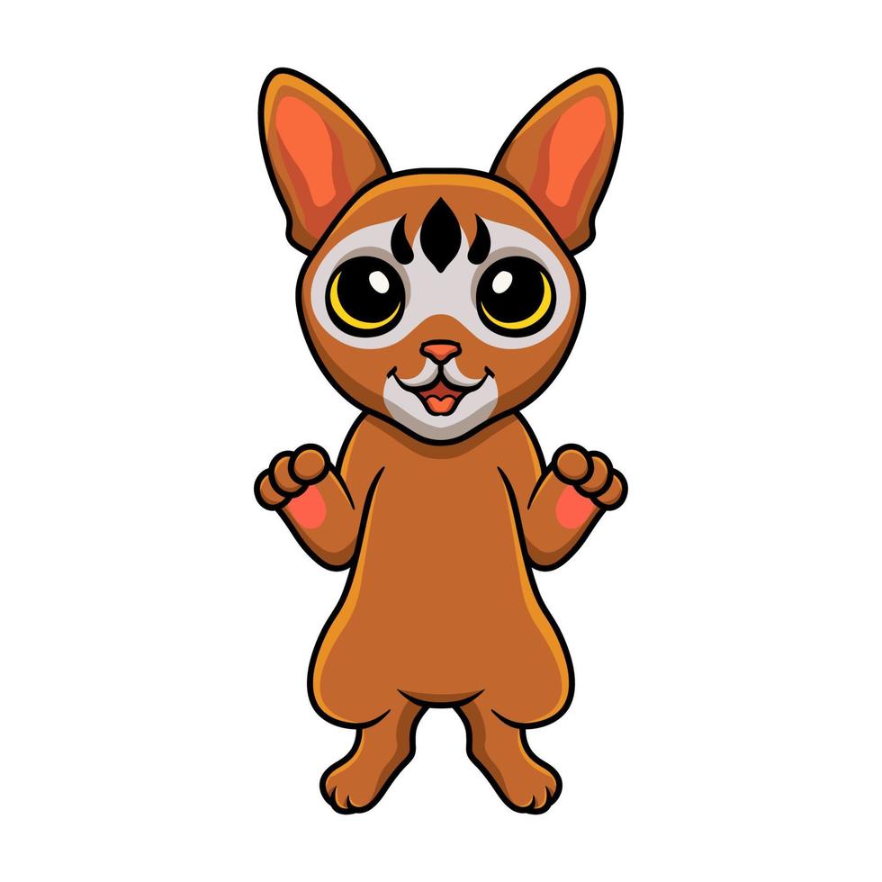 Cute abyssinian cat cartoon standing vector