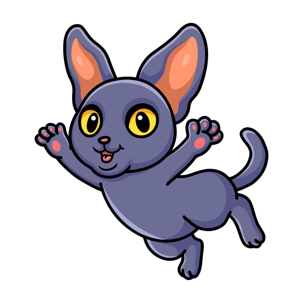 Cute peterbald cat cartoon posing vector