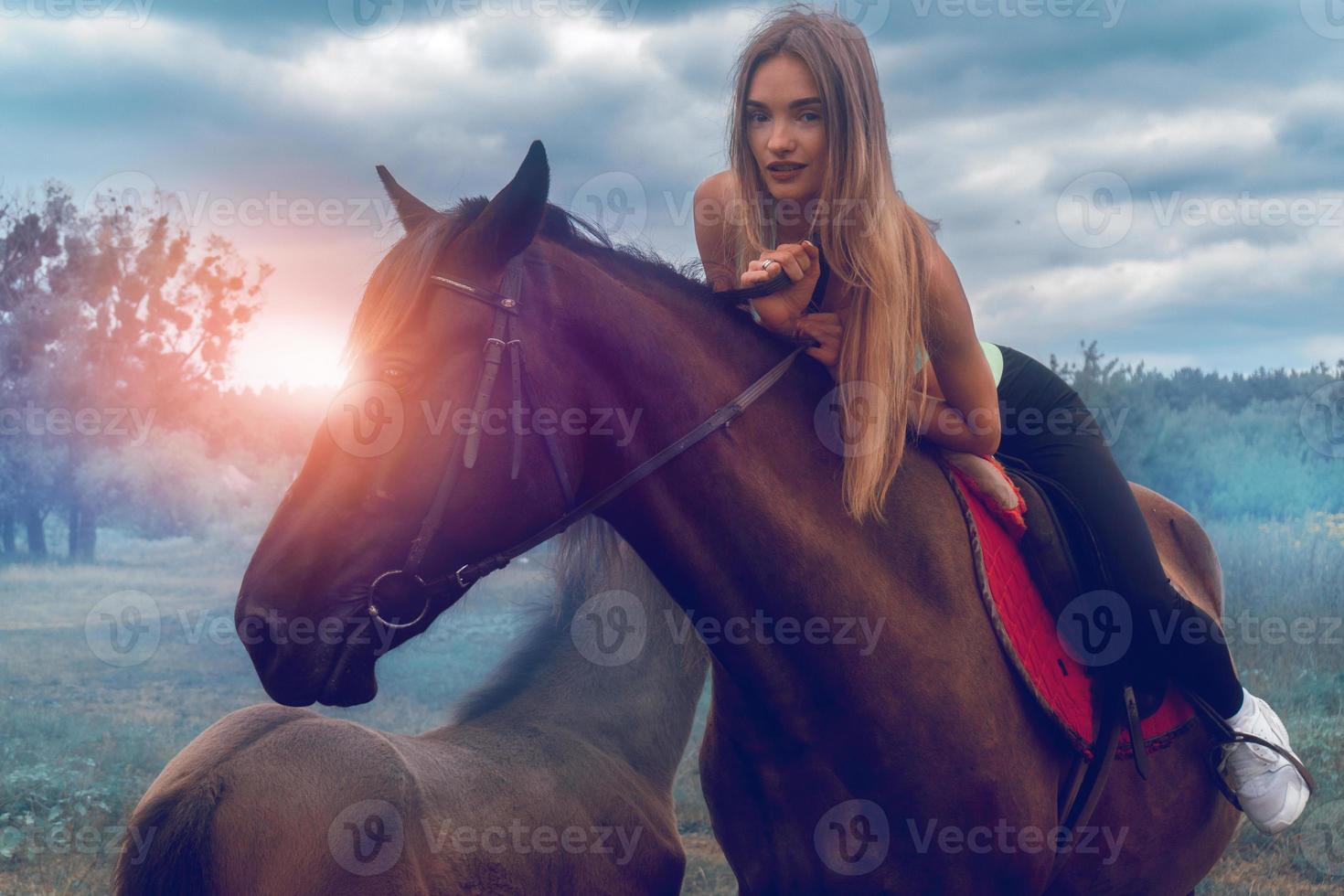 beautiful girl lies on top of the horse and looks into the camera photo