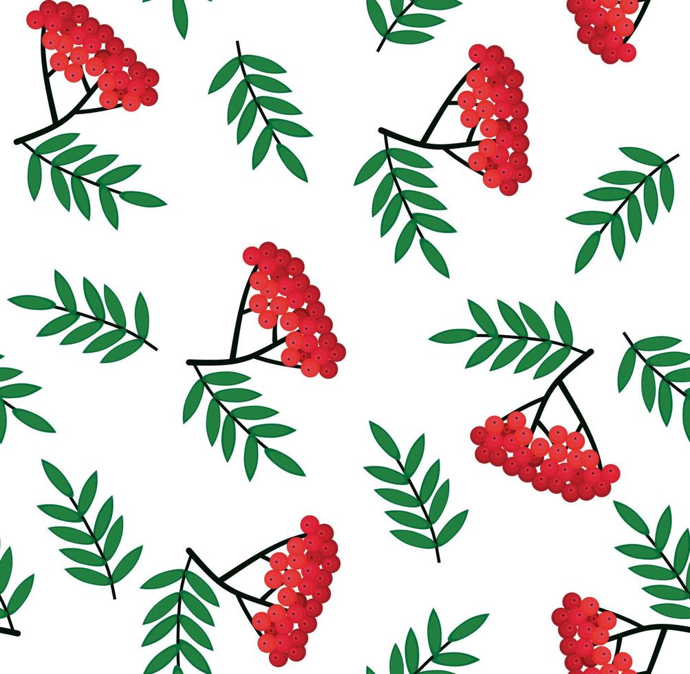 Seamless pattern with bunches of rowan berries on a white background. Vector sketch. Use for packaging, fabrics, backgrounds, web ads, design, napkins.