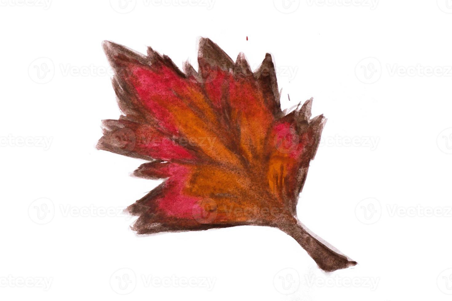 brown watercolor abstract handmade leaf photo