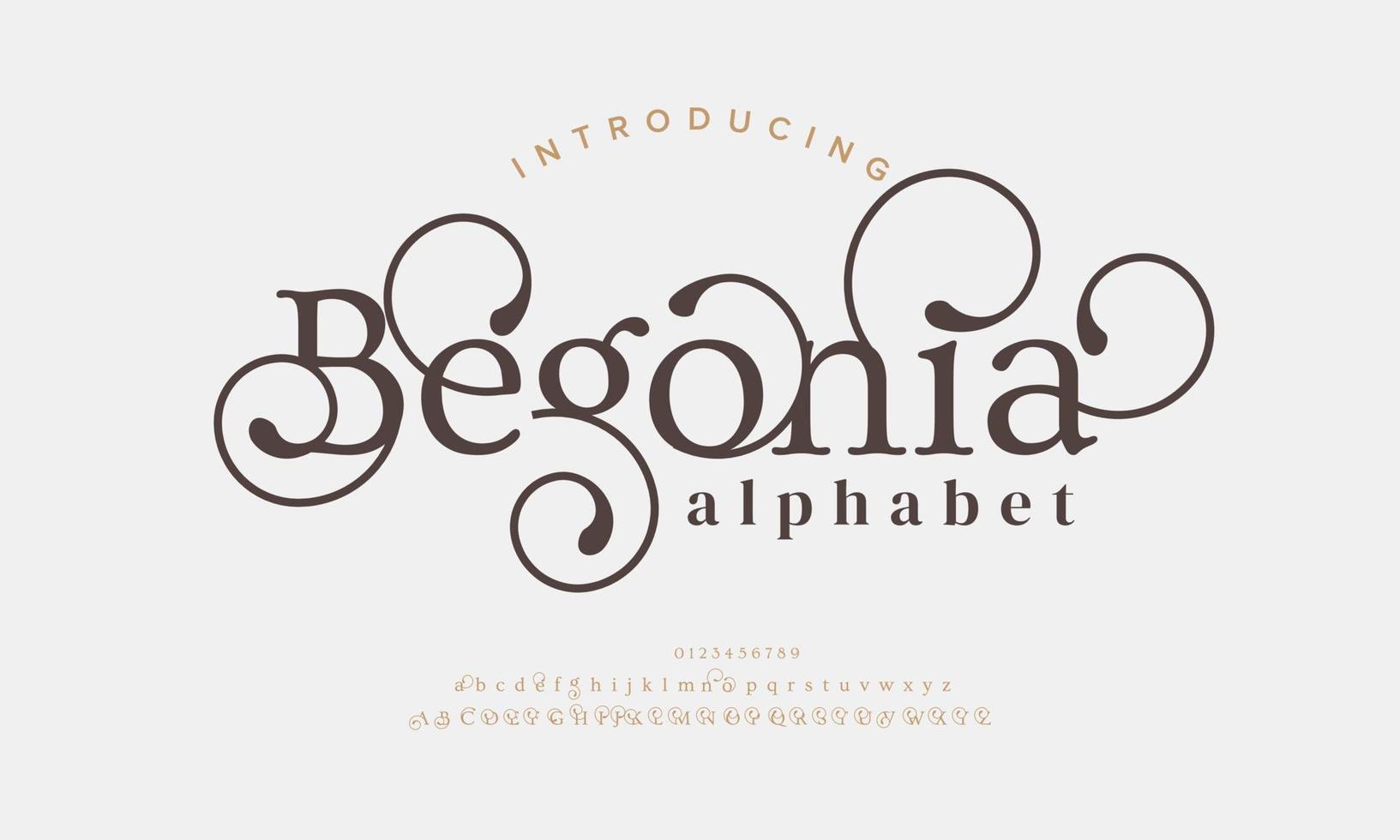 begonia letras y números elegantes del alfabeto de lujo. elegante tipografía de boda fuente serif clásica decorativa vintage retro. vector