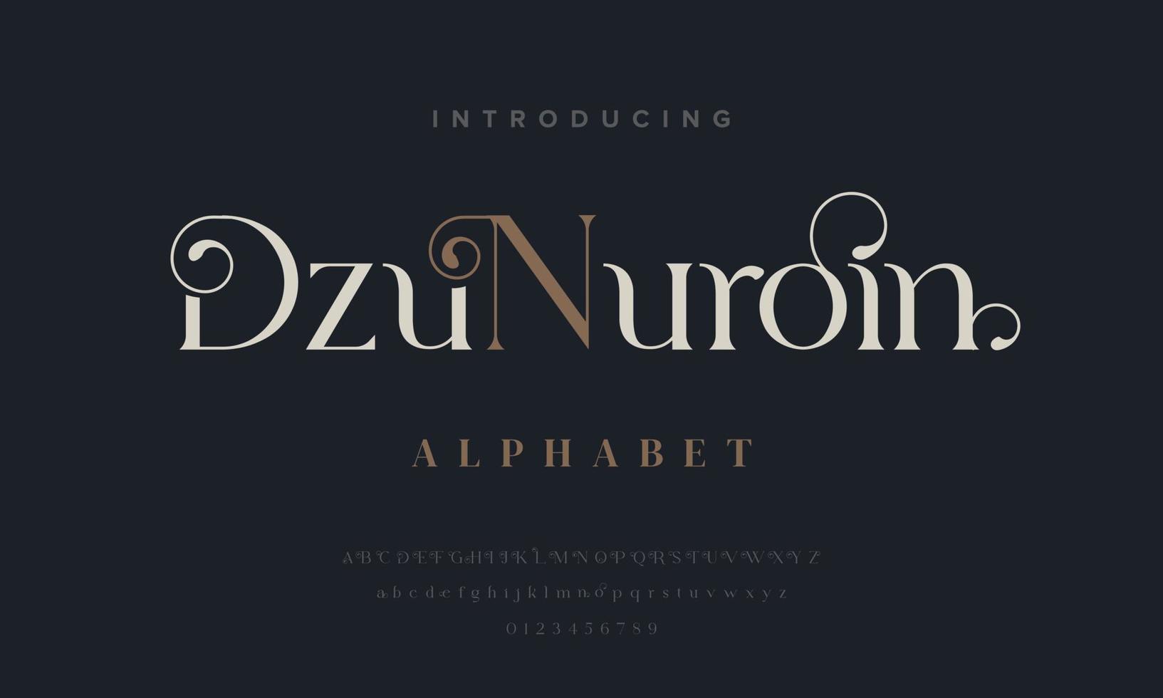 Duznuroin abstract simple fashion wedding alphabet. Elegant ligature typography typeface design vector