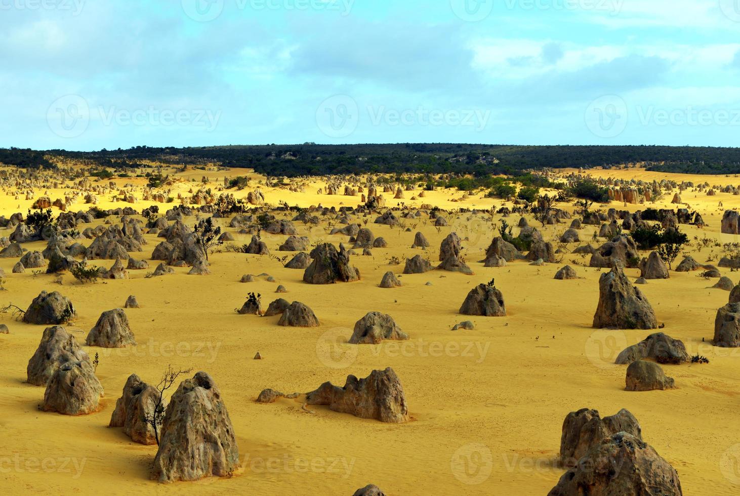 Pinnacles Desert, Australia photo