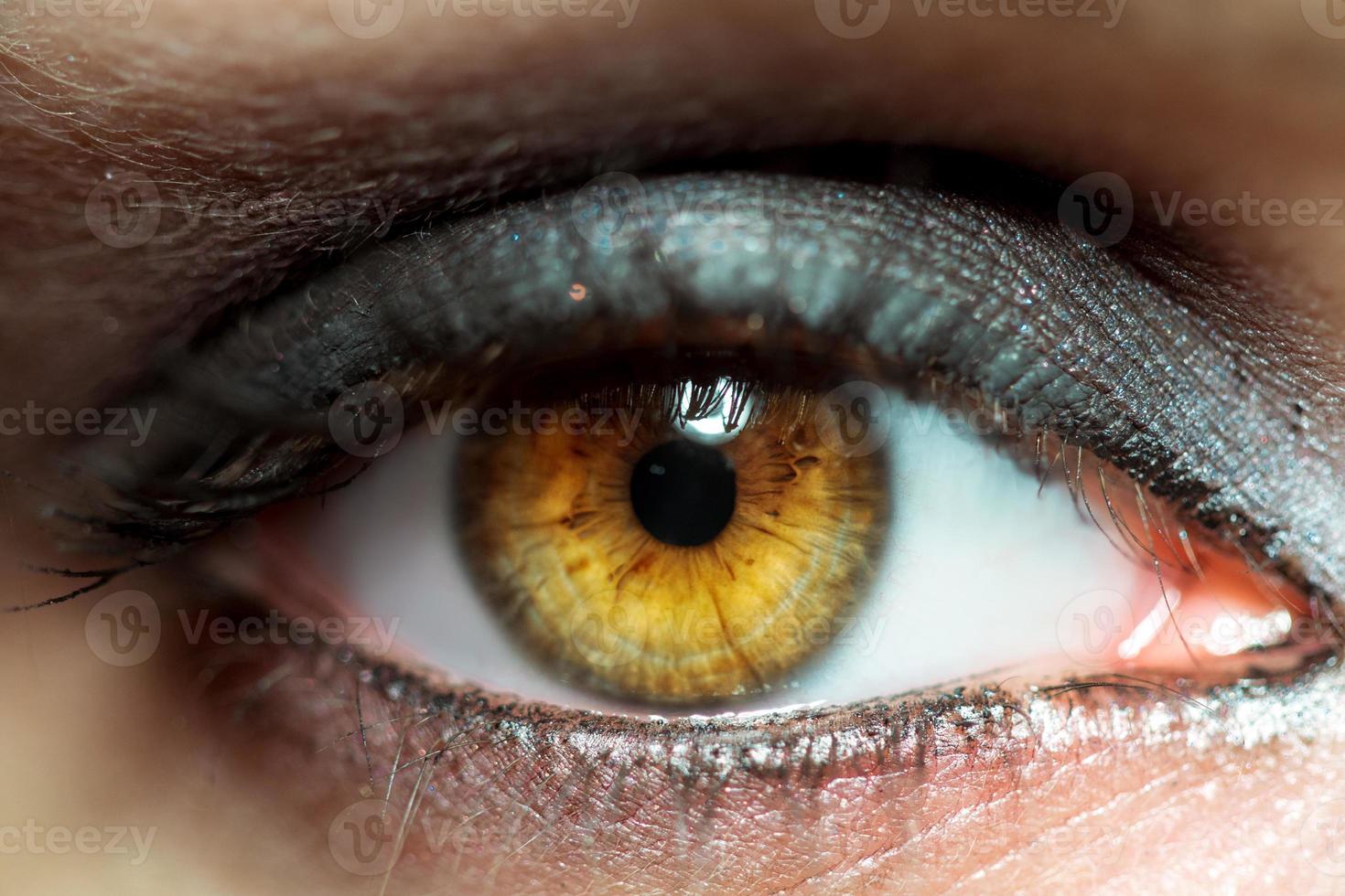 macro of brown female eye photo