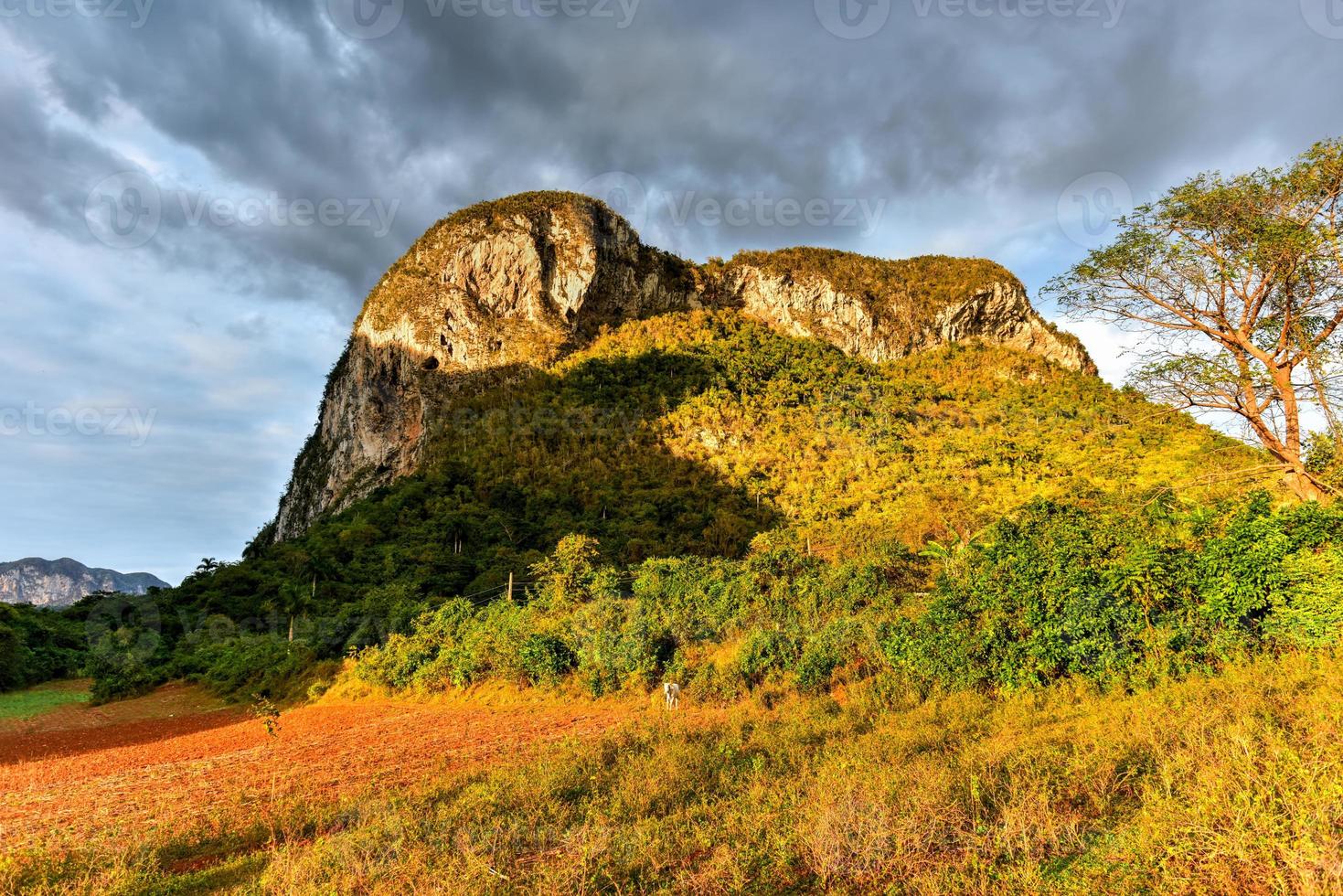 panorama de la puesta de sol en el valle de viñales, al norte de cuba. foto