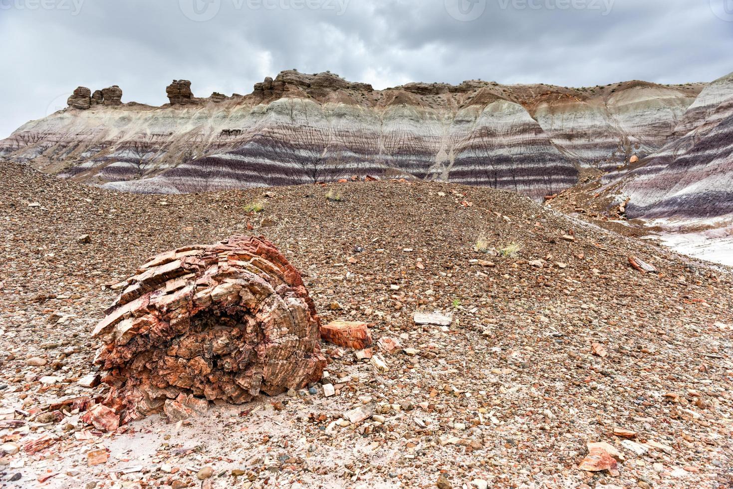 Blue Mesa in Petrified Forest National Park, Arizona, USA photo