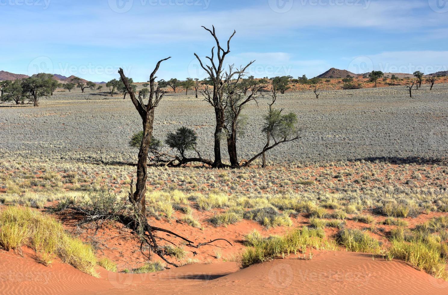 paisaje desértico - namibrand, namibia foto