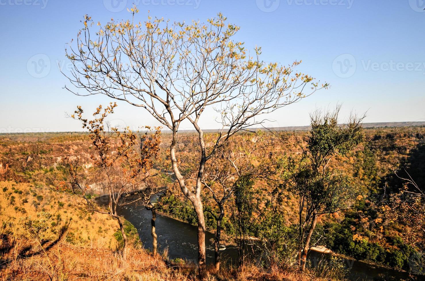 garganta del río zambeze foto